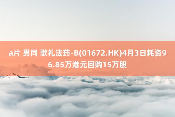 a片 男同 歌礼法药-B(01672.HK)4月3日耗资96.85万港元回购15万股