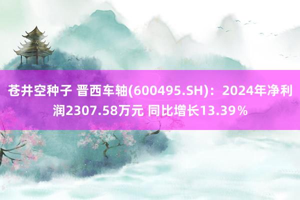 苍井空种子 晋西车轴(600495.SH)：2024年净利润2307.58万元 同比增长13.39％
