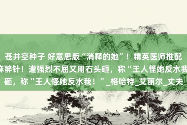 苍井空种子 好意思版“消释的她”！精英医师推配头下陡壁未遂，竟拿出麻醉针！遭强烈不屈又用石头砸，称“王人怪她反水我！”_格哈特_艾丽尔_丈夫