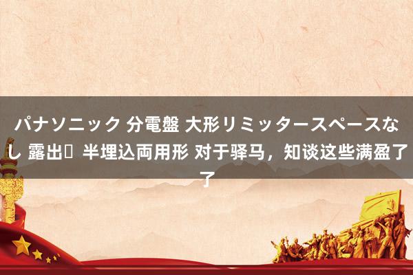 パナソニック 分電盤 大形リミッタースペースなし 露出・半埋込両用形 对于驿马，知谈这些满盈了