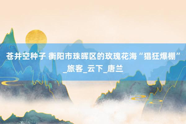 苍井空种子 衡阳市珠晖区的玫瑰花海“猖狂爆棚”_旅客_云下_唐兰