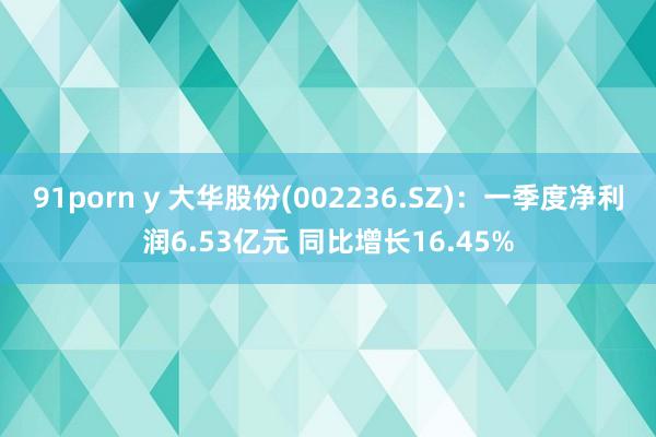 91porn y 大华股份(002236.SZ)：一季度净利润6.53亿元 同比增长16.45%