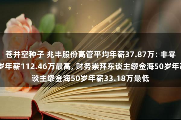 苍井空种子 兆丰股份高管平均年薪37.87万: 非零丁董事徐远46岁年薪112.46万最高, 财务崇拜东谈主缪金海50岁年薪33.18万最低
