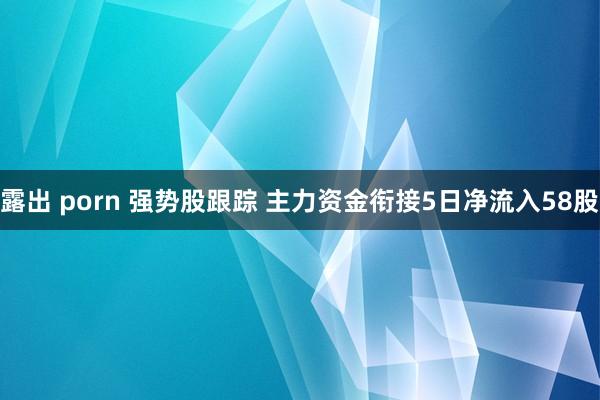 露出 porn 强势股跟踪 主力资金衔接5日净流入58股