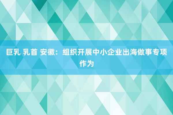 巨乳 乳首 安徽：组织开展中小企业出海做事专项作为