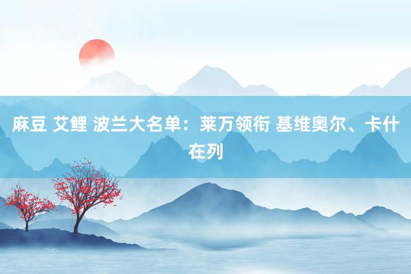 麻豆 艾鲤 波兰大名单：莱万领衔 基维奥尔、卡什在列