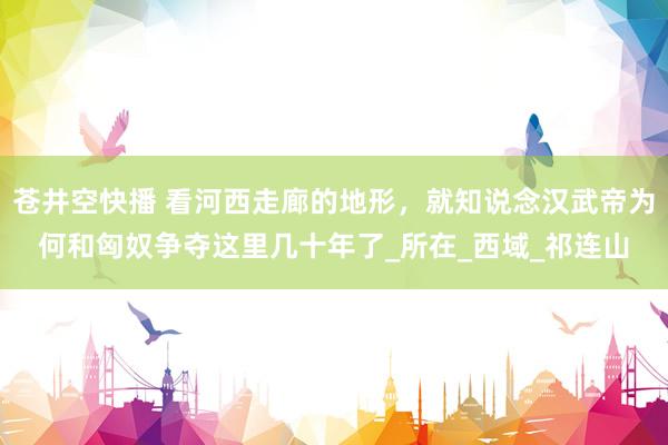 苍井空快播 看河西走廊的地形，就知说念汉武帝为何和匈奴争夺这里几十年了_所在_西域_祁连山
