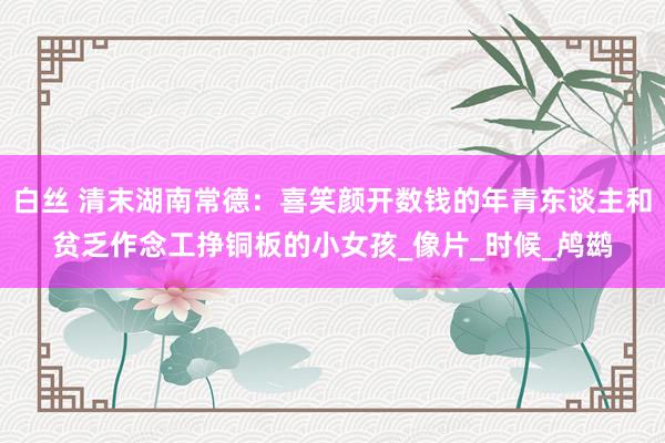 白丝 清末湖南常德：喜笑颜开数钱的年青东谈主和贫乏作念工挣铜板的小女孩_像片_时候_鸬鹚