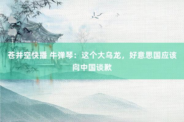 苍井空快播 牛弹琴：这个大乌龙，好意思国应该向中国谈歉