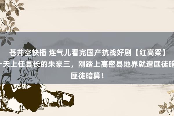 苍井空快播 连气儿看完国产抗战好剧【红高粱】第一天上任县长的朱豪三，刚踏上高密县地界就遭匪徒暗算！
