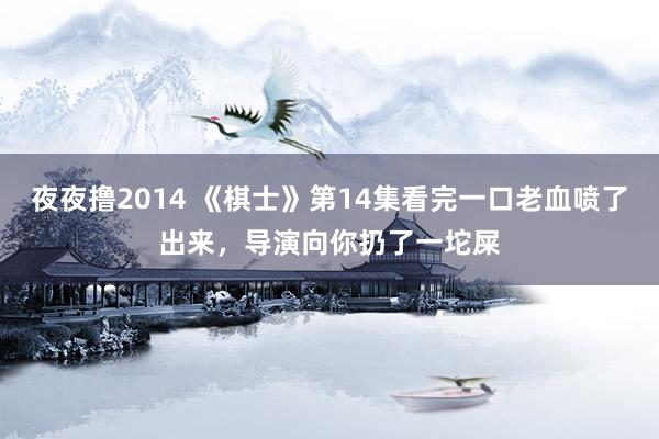 夜夜撸2014 《棋士》第14集看完一口老血喷了出来，导演向你扔了一坨屎