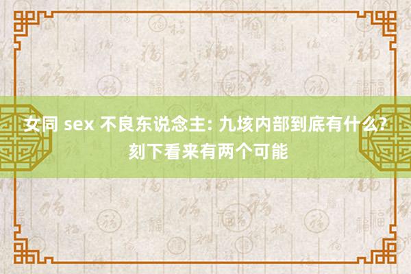 女同 sex 不良东说念主: 九垓内部到底有什么? 刻下看来有两个可能