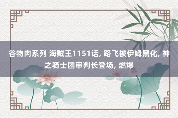 谷物肉系列 海贼王1151话， 路飞被伊姆黑化， 神之骑士团审判长登场， 燃爆